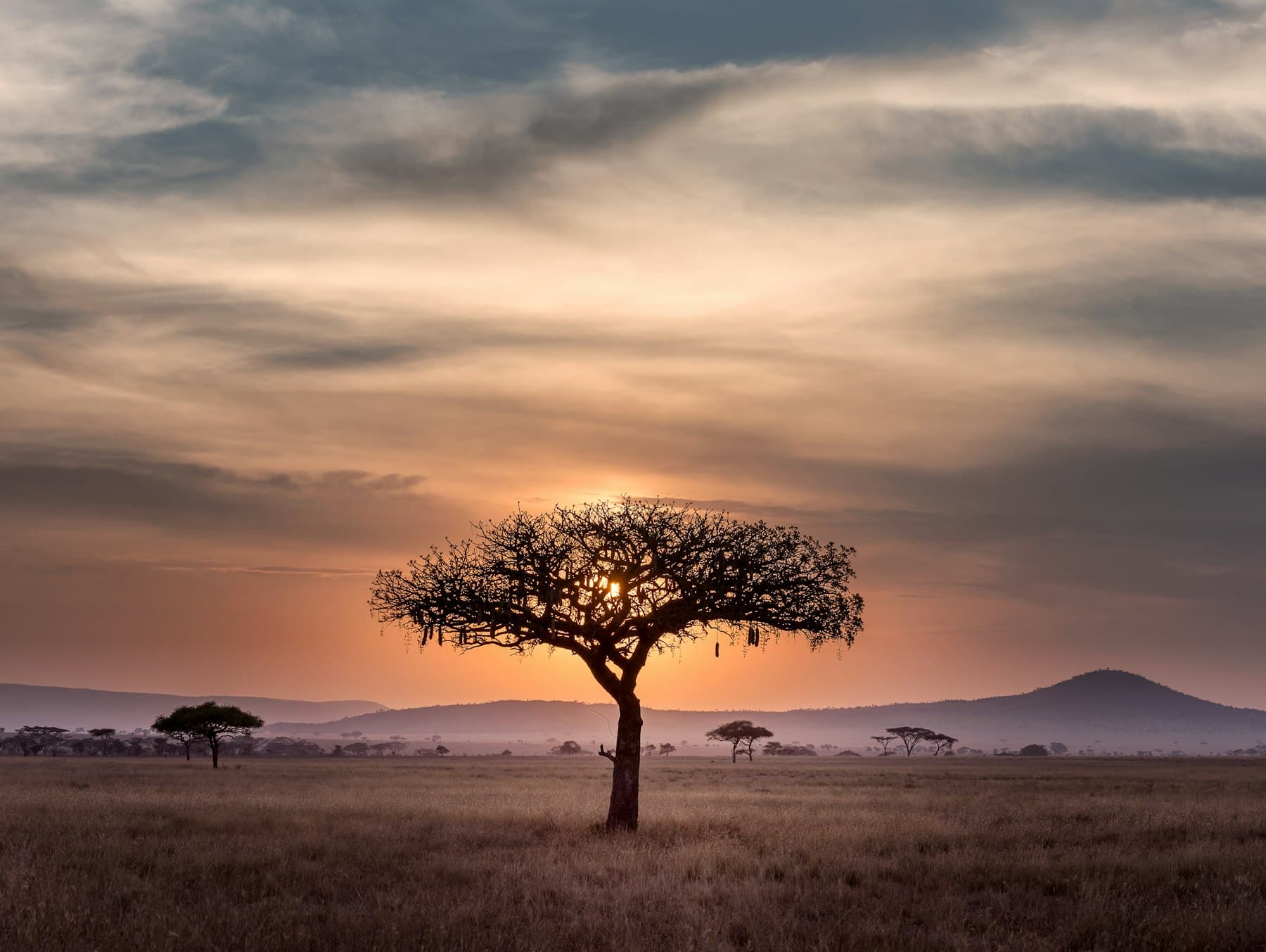 African savannah hills, standing in for the Ngong Hills setting of Chemi Chemi